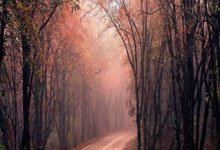 英超球员身价下跌榜：努涅斯、霍伊伦、B席跌1500万欧最多.