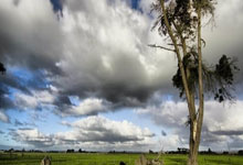 [网球]王欣瑜／郑赛赛收获新加坡站女双亚军.