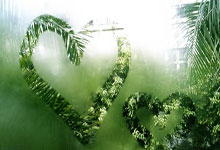 奥布拉克：出局后没人能睡好觉，我们可能是规则改变的牺牲品.